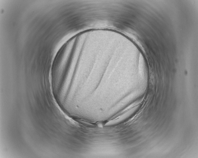 X0000070421343200607072325