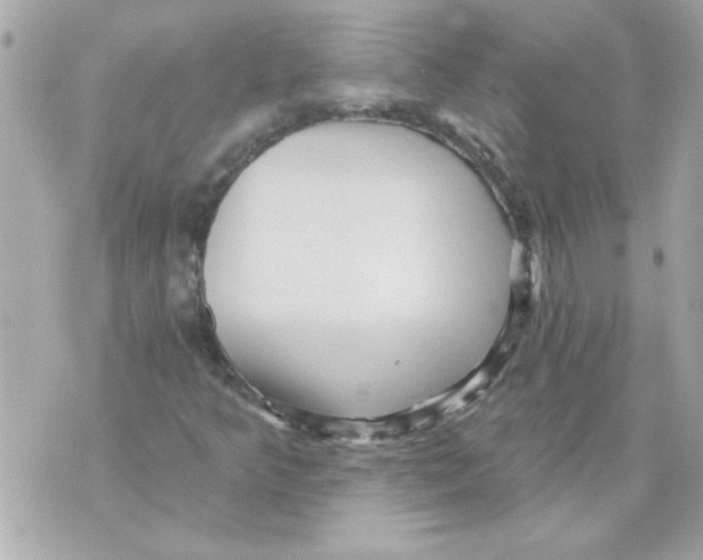 X0000070421349200607072324