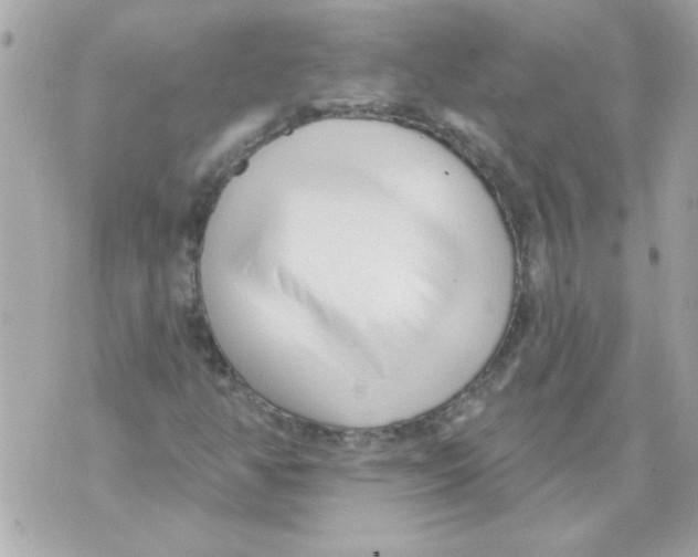 X0000070421350200607072324