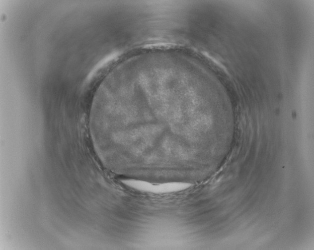 X0000070421351200607072324