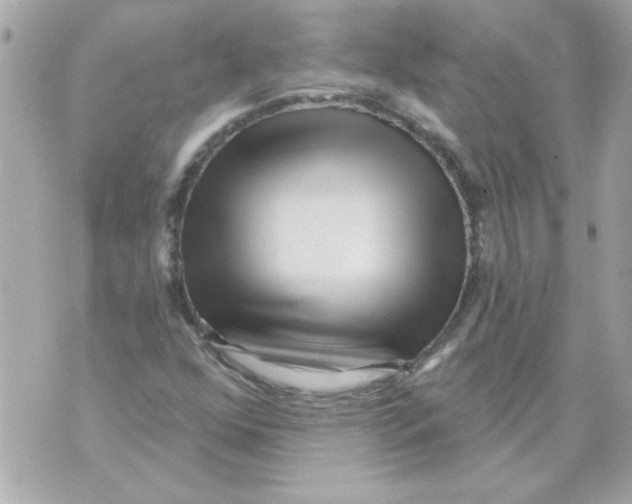 X0000070421352200607072324