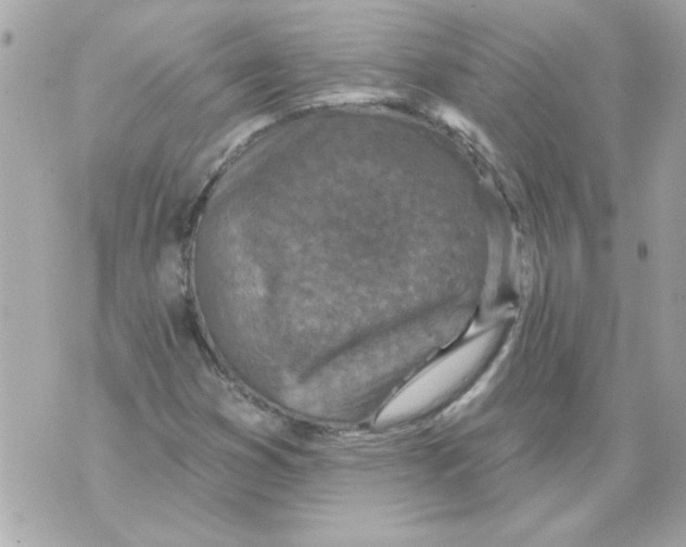 X0000070421353200607072324