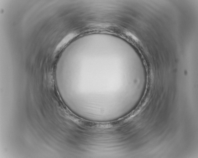 X0000070421354200607072324