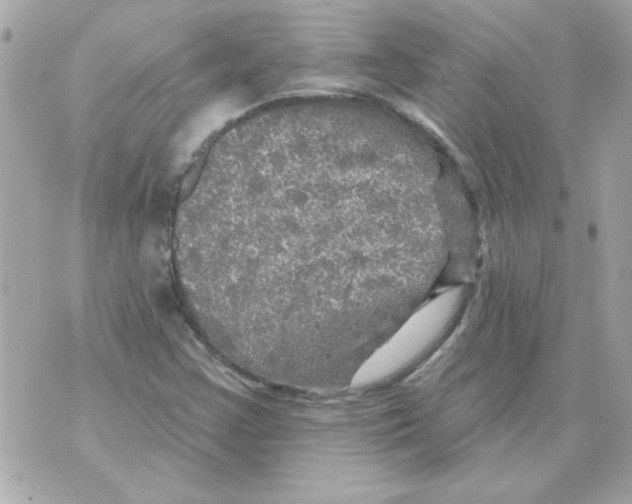 X0000070421355200607072324