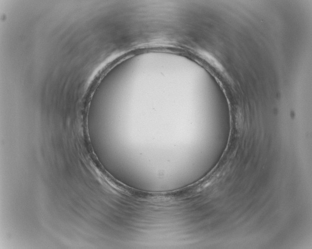 X0000070421356200607072324