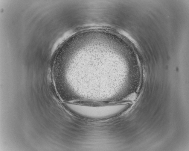 X0000070421357200607072324