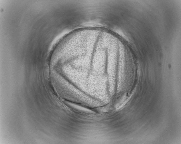 X0000070421358200607072324