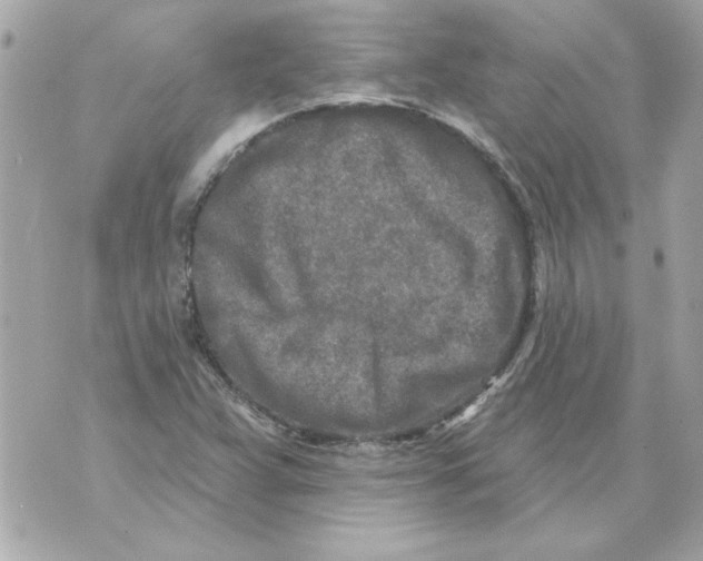 X0000070421359200607072324