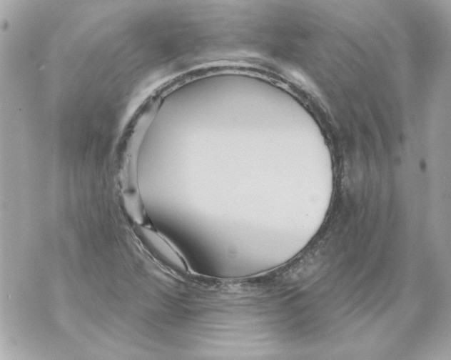 X0000070421360200607072324