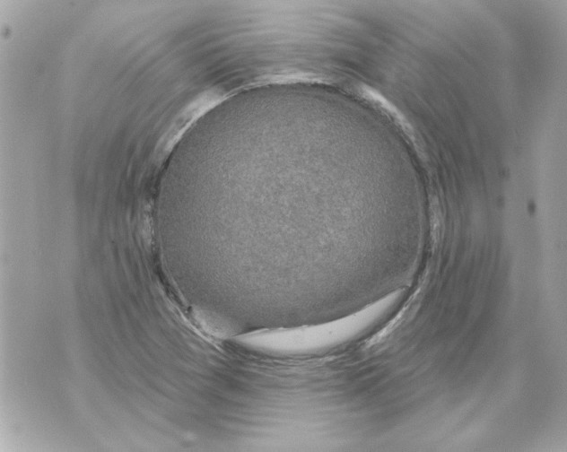 X0000070421361200607072324