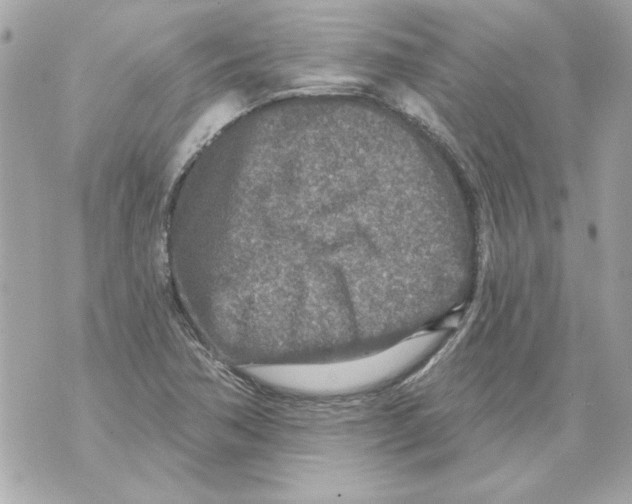 X0000070421362200607072324