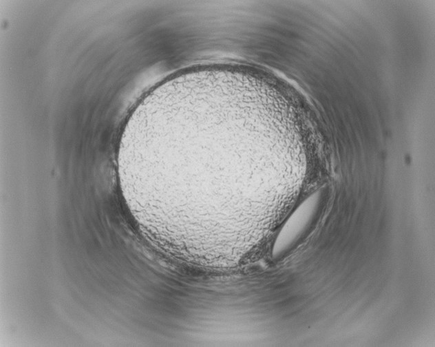 X0000070421363200607072324