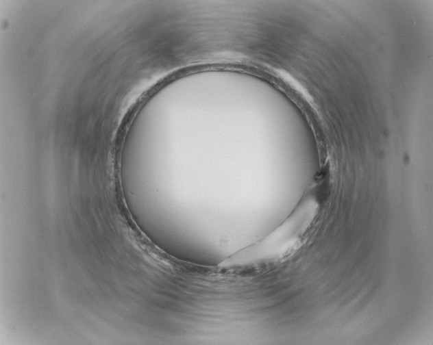 X0000070421364200607072324