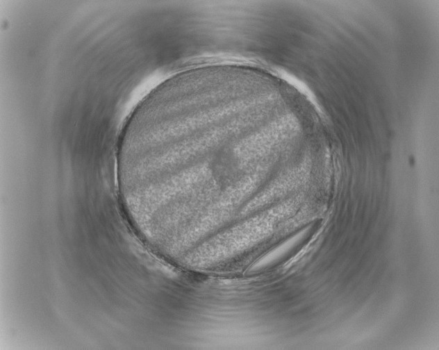 X0000070421365200607072324