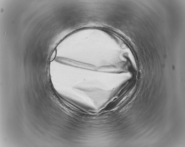 X0000070421367200607072324