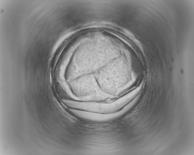 X0000070421368200607072324