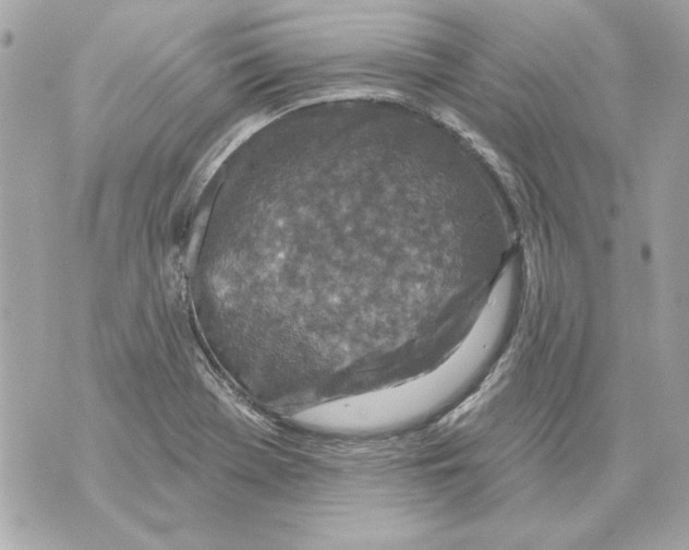 X0000070421369200607072324