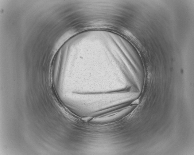 X0000070421370200607072324