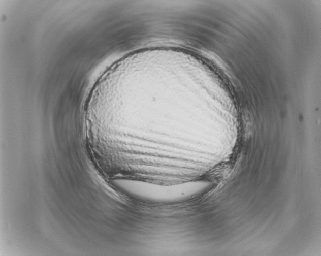 X0000070421371200607072324