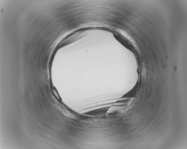 X0000070421372200607072324