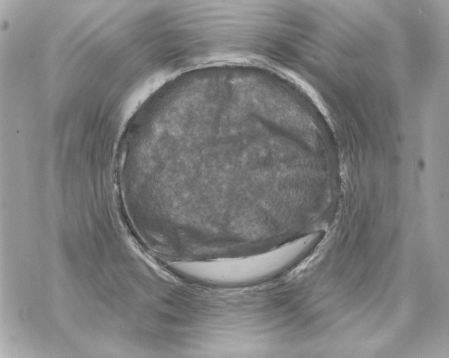 X0000070421373200607072324