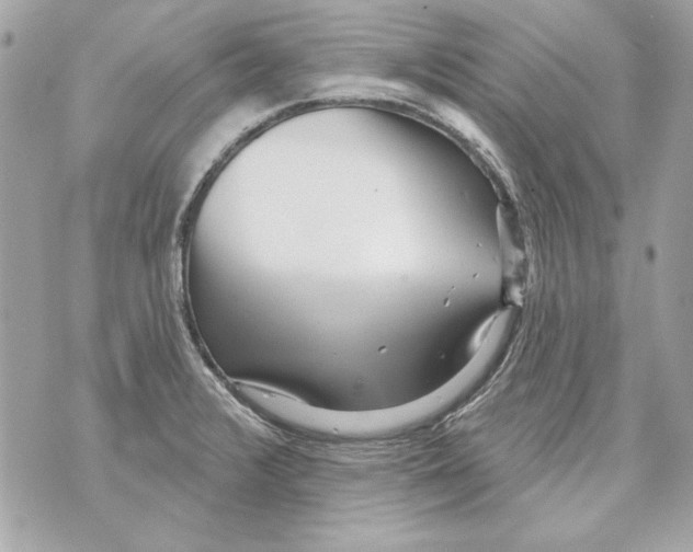 X0000070421376200607072323