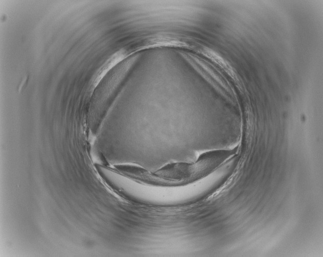 X0000070421377200607072323