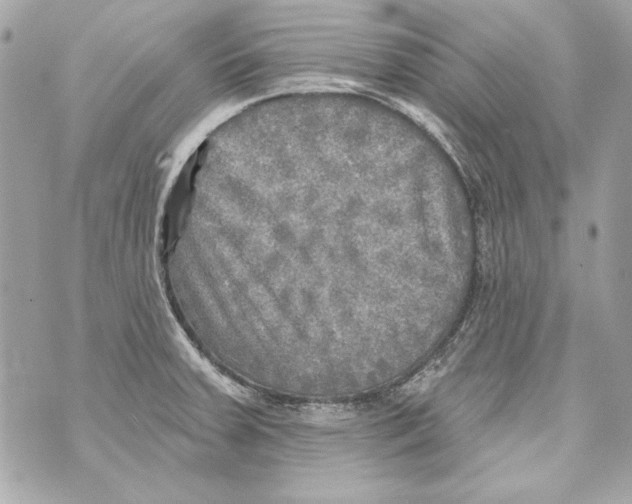 X0000070421379200607072323