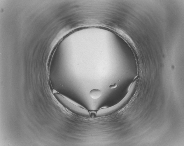 X0000070421380200607072323