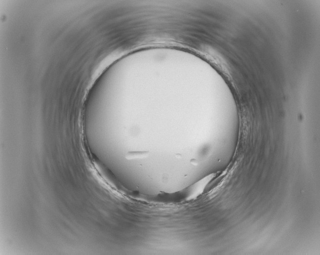 X0000070421382200607072323