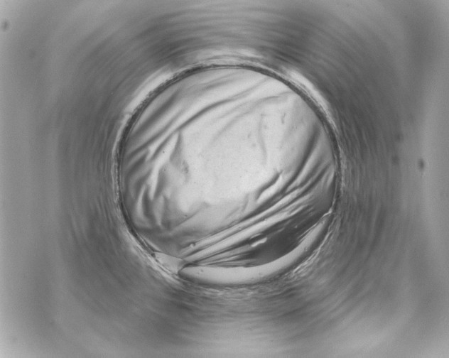 X0000070421384200607072323