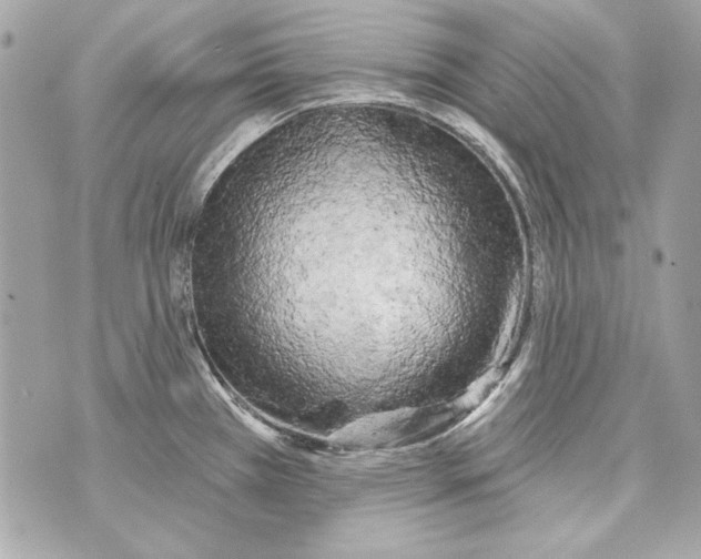 X0000070421385200607072323