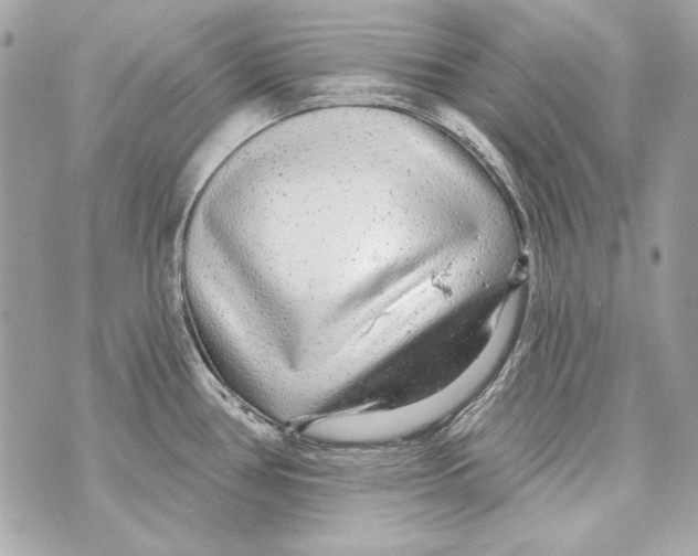 X0000070421386200607072323