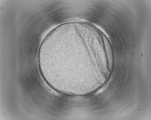 X0000070421387200607072323