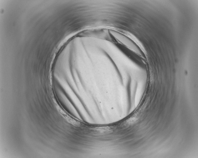 X0000070421388200607072323