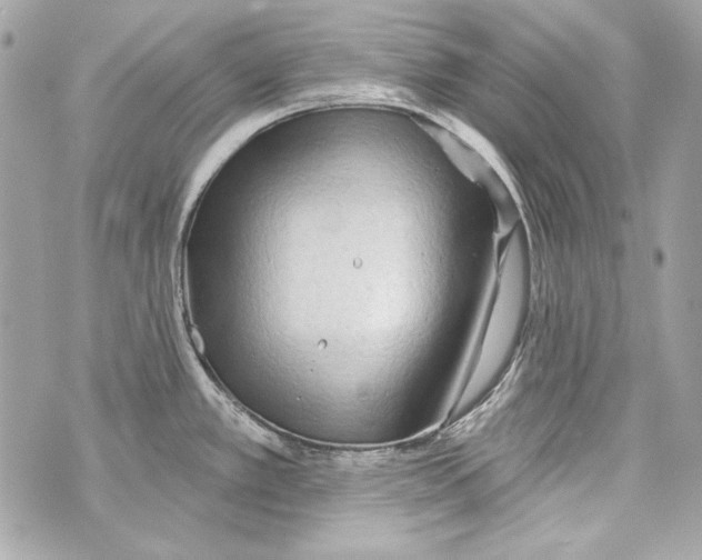 X0000070421389200607072323