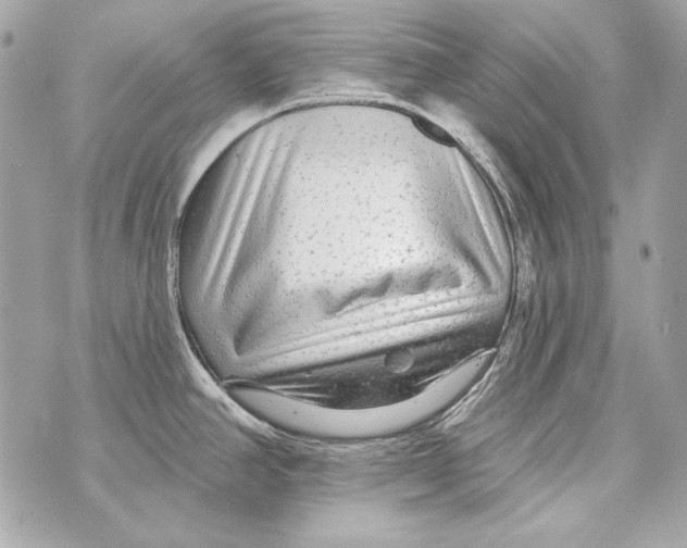 X0000070421390200607072323