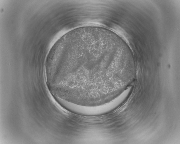 X0000070421391200607072323