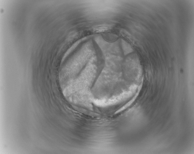 X0000070421393200607072322