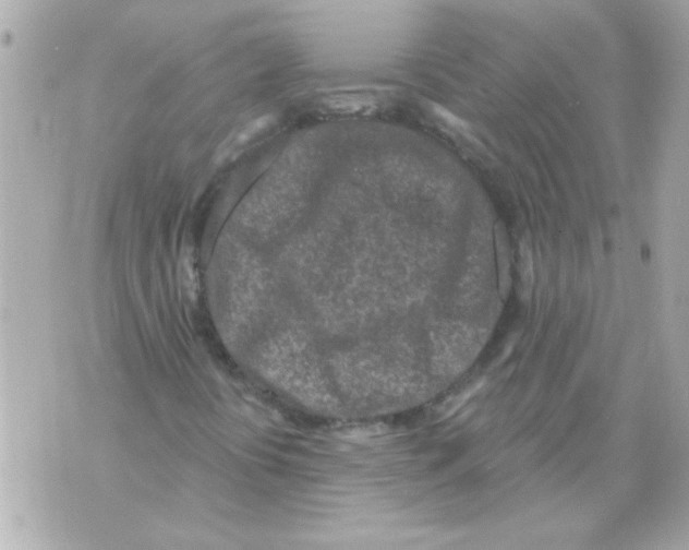 X0000070421394200607072322