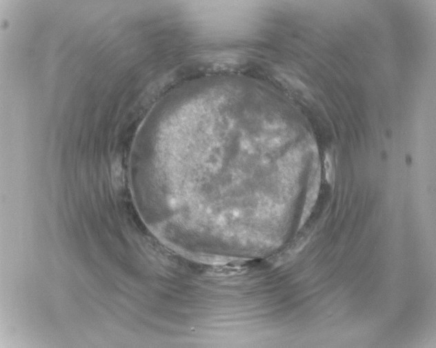 X0000070421395200607072322