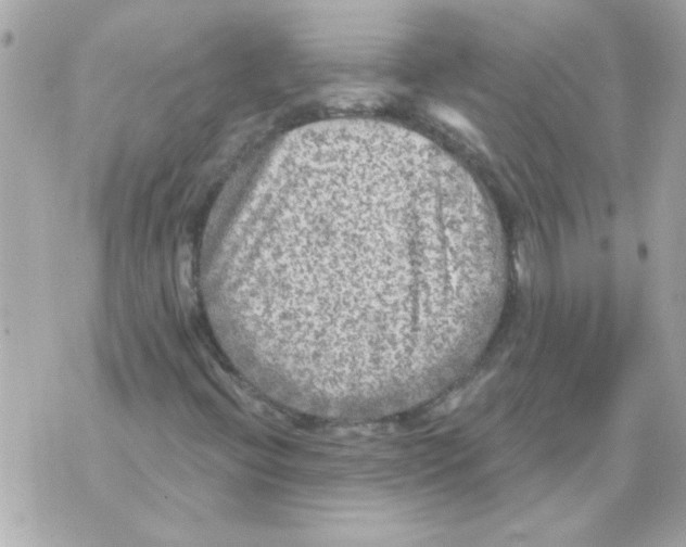 X0000070421396200607072322