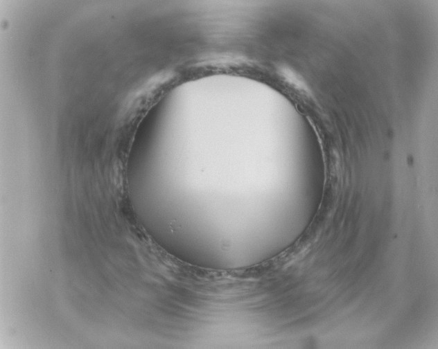 X0000070421398200607072322