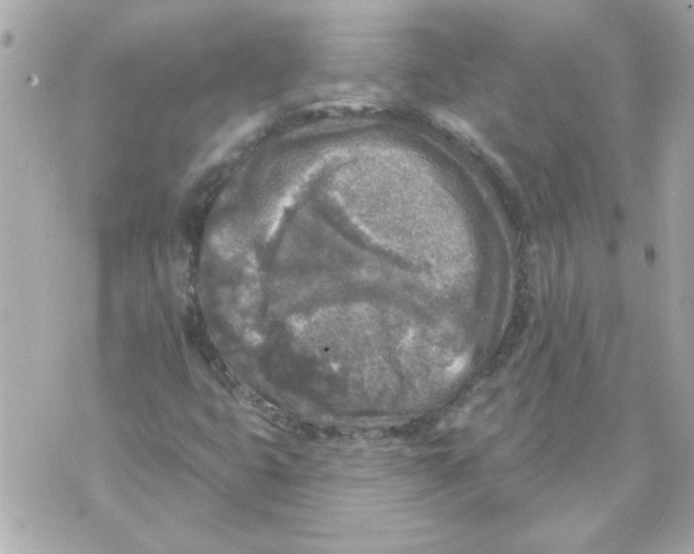 X0000070421399200607072323