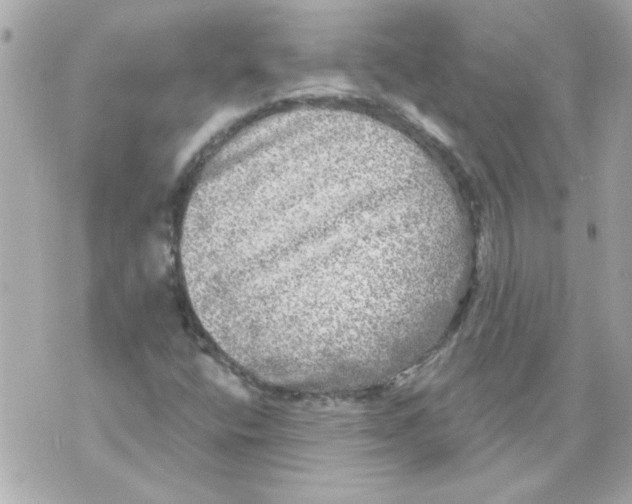 X0000070421400200607072323