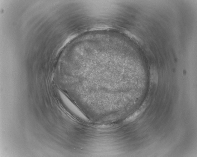 X0000070421401200607072323