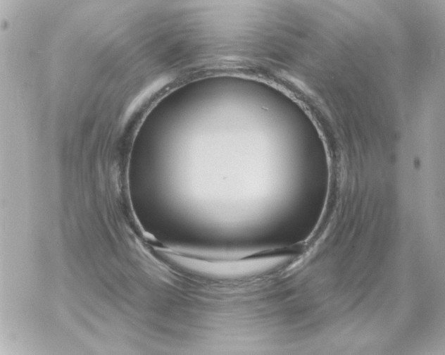 X0000070421402200607072323