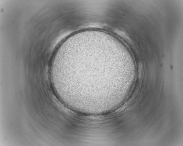 X0000070421404200607072323