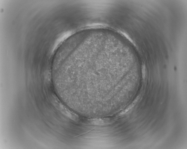 X0000070421405200607072323