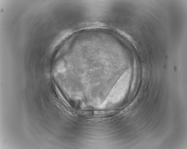 X0000070421407200607072323